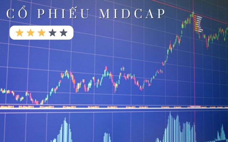 Rủi ro của cổ phiếu Midcap là gì?