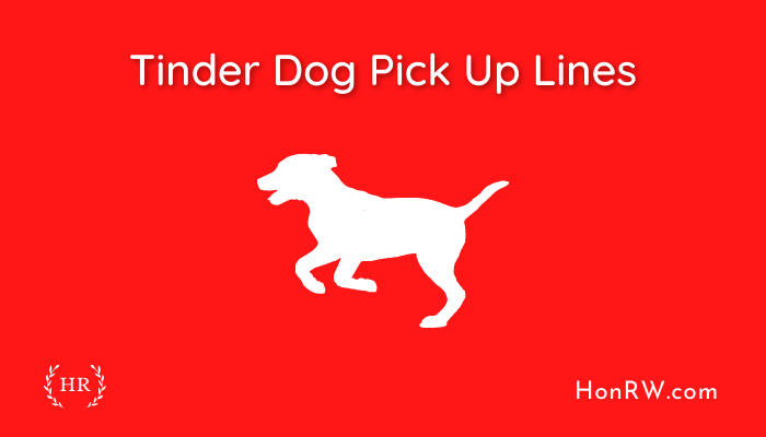 Tinder Dog Pick Up Lines