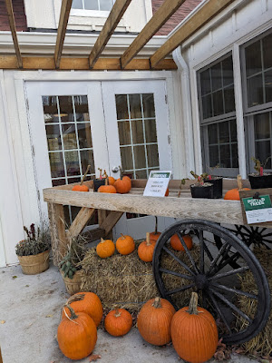 pumpkins sit on a cute wagon outside Porter's at the Arbor Day Farm Tree Adventure