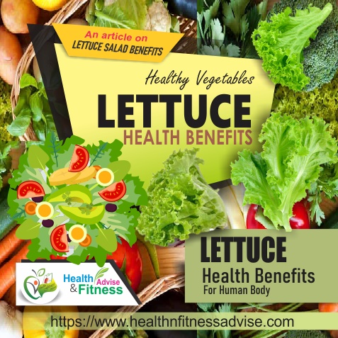 Lettuce, Health Benefits Of Eating Lettuce Salad, HealthnFitnessAdvise