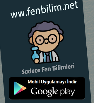 fenbilim.net Android Uygulaması