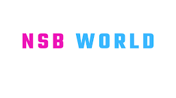 NSB WORLD BOX