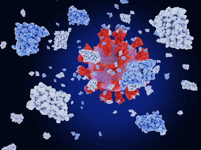 Descrição: Imunização passiva com nanocorpos: dois nanocorpos neutralizantes que têm como alvo o domínio de ligação ao receptor da proteína spike SARS-CoV-2. Os nanocorpos podem ter uma atividade neutralizante altamente aumentada em comparação com os anticorpos. Crédito: Juan Gaertne