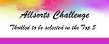 Top 5 at Allsorts Challenge