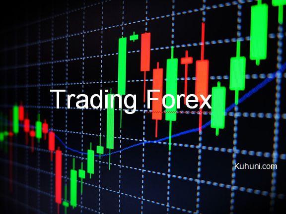 Trading Forex untuk Pemula