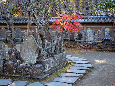 Autumn leaves in the garden of Hyaku Kannon