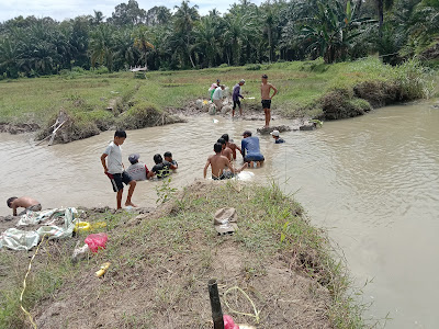 Antisipasi Banjir,Warga Kampung Baru Sei Merbo Gotroy Benahi Tanggul Jebol