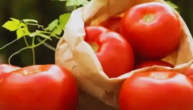 Tomato Price Hike: 25 किलो टमाटर चुरा ले गए चोर, इसके पहले 7 क्विंटल प्याज हुई थी चोरी ,सब्जियों की रखवाली करने लगे व्यापारी