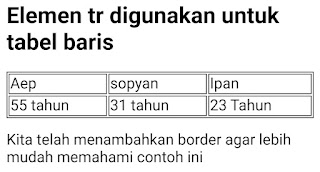 Hasil Program 4 : Elemen tr