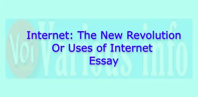 Internet: The New Revolution Or Uses of Internet Essay for students in English