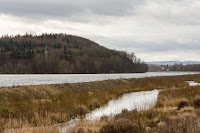 Naturfotografie Landschaftsfotografie Schieder See Weserbergland