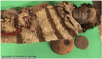 Ancient mummy with head lice dna.