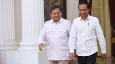 TKN: Tujuan Mereka Tidak Pemakzulan, Tapi Mau Pisahkan Jokowi dari Prabowo