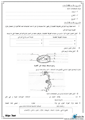 تحميل فرض مراقبة 3 علوم الحياة و الأرض سنة ثامنة مع الاصلاح pdf 8svt سنة 8, تمارين علوم الحياة و الأرض svt تاسعة مع الإصلاح موقع مسار التميز 8ème