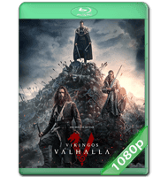 VIKINGOS: VALHALLA (2022) TEMPORADA 1 WEB-DL 1080P HD MKV ESPAÑOL LATINO