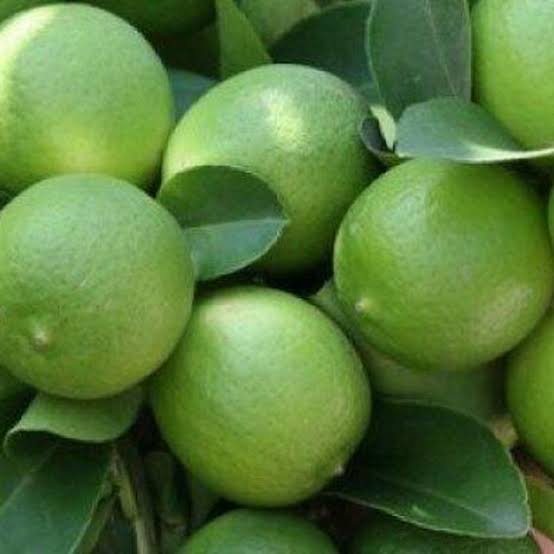 Se dispara el precio del limón hasta 90 pesos el kilo por disputa entre grupos del narco