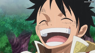 ワンピースアニメ WCI編 805話 ルフィ 笑顔かわいい Monkey D. Luffy | ONE PIECE Episode 805