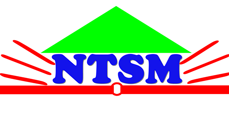 NTSM SERVICES PROFESSIONNELS DEPUIS HAITI!