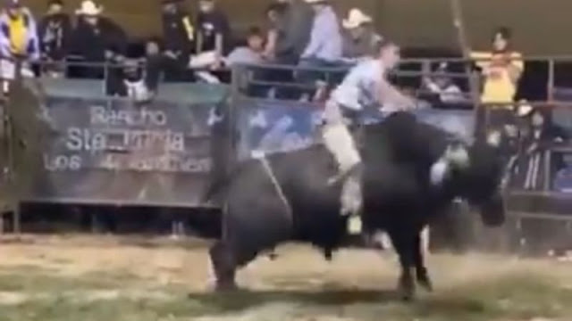 Video: El que recio comienza, recio termina, así fue el final de El Niño de Oro tras ser aplastado por un toro en Atlixco