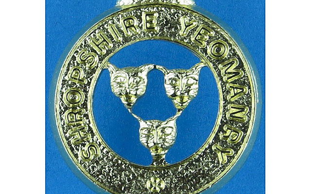 Shropshire Yeomanry regiment collar badge