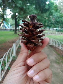 Gambar