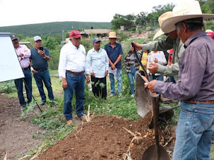 Capacitan a productoras y productores de agave en el manejo de residuos.