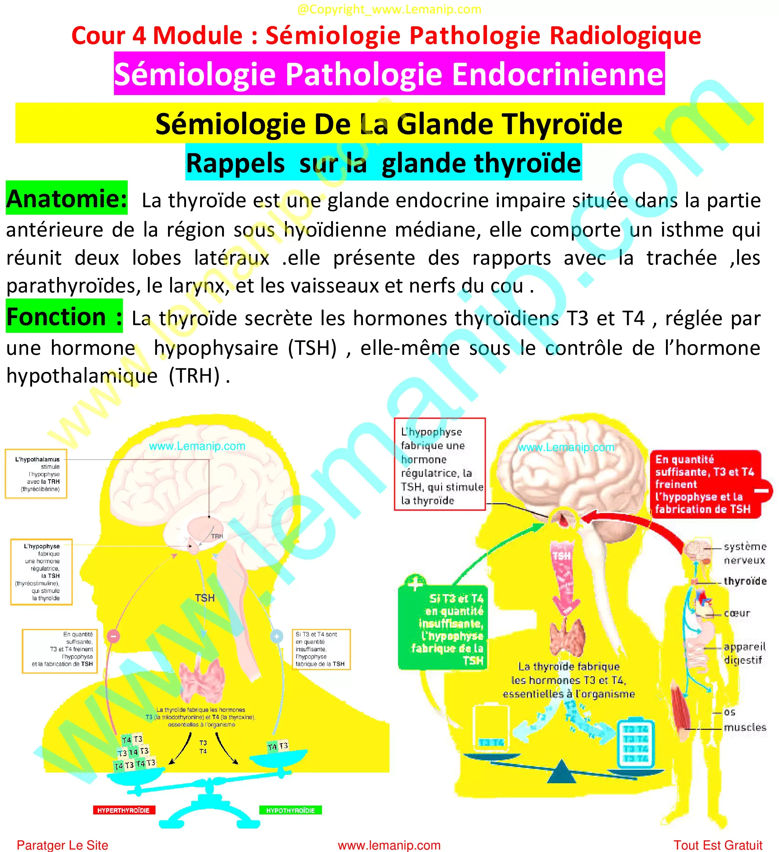 Sémiologie Glande Thyroïde
