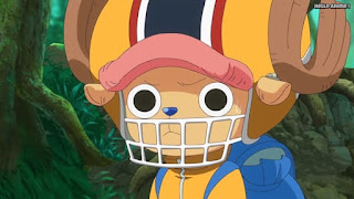 ワンピースアニメ ゾウ編 760話 チョッパー かわいい Tony Tony Chopper | ONE PIECE Episode 760