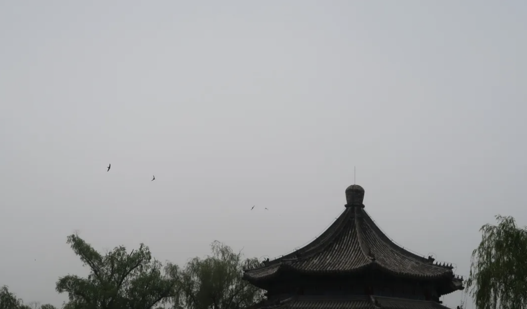 Building Beijing as a Biodiversity Capital and Protecting the “Beijing ...