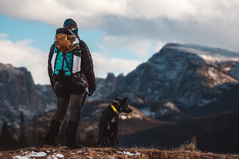 Why You Should Take Your Dog On Hiking