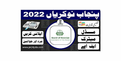 Punjab Jobs 2022 – Government Jobs 2022