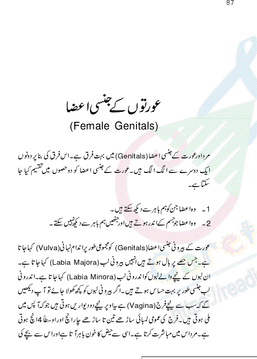 Sex Education - Jinsi Taleem Islamic View for Women