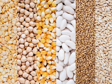 Safra de grãos de Alagoas aumenta 31,5% em 2021, diz IBGE