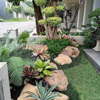 Shakila landscape