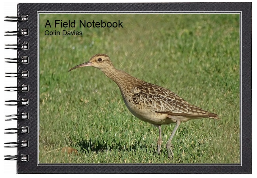 A Field Notebook