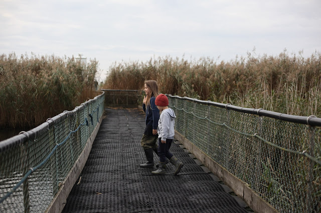 RSPC Newport Wetlands Nature Reserve