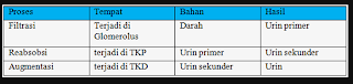 Kunci jawaban IPA kelas 8 halaman 112 Uji Kompetensi Bab 8