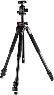 Vanguard Alta Pro 263AB 100