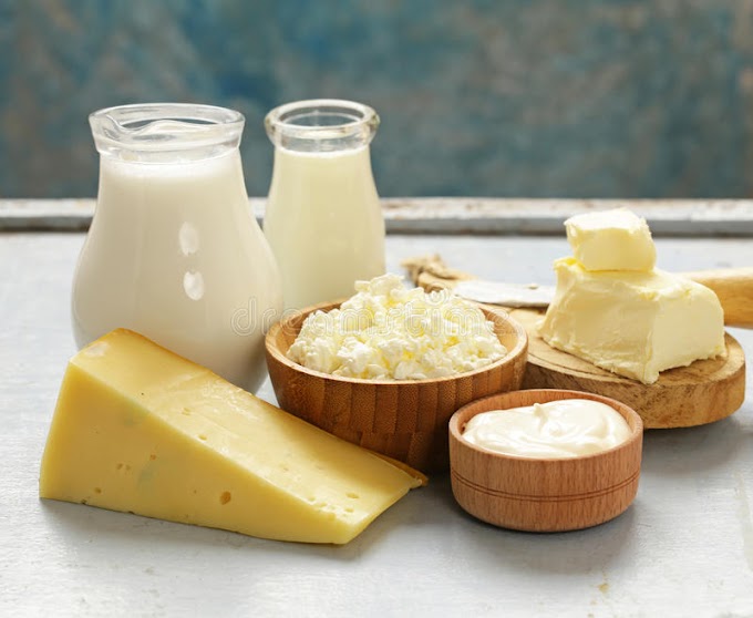 Reação imune à proteína do leite pode explicar a ligação dos laticínios à esclerose múltipla