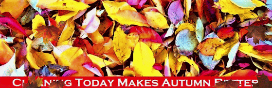 Cleaning Today Makes Autumn Better (cleaning housework sayings gif and photo by JenExx)