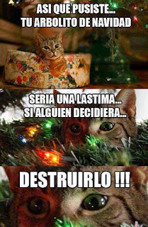 Memes de gatos y navidad