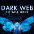 Dark Web: Cicada 3301