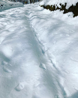 軽井沢 雪に覆われた道路