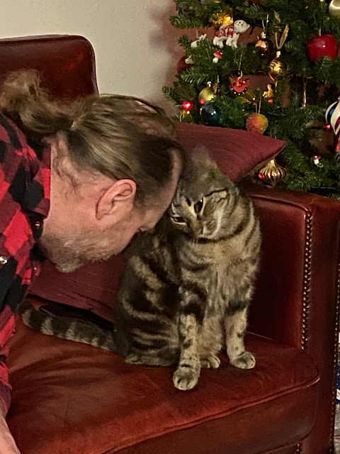 A white man with light brown hair in a ponytail bumping heads with a large tabby cat.