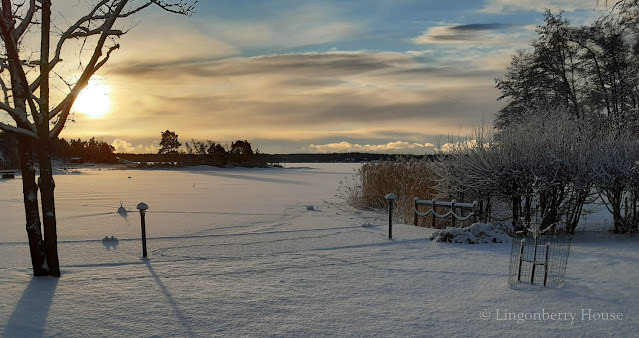 lingonberryhouse, uusivuosi, new year, last day of the year, vuoden viimeinen päivä, mökki, leisure home, talvi, winter, koira, dog