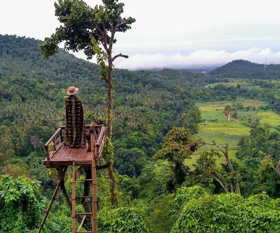 Rumah Pohon Gangga Lombok