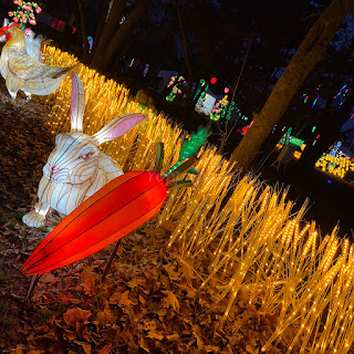 NYC Winter Lantern Festival