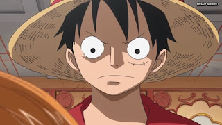 ワンピースアニメ ゾウ編 765話 ルフィ かっこいい Monkey D. Luffy | ONE PIECE Episode 765