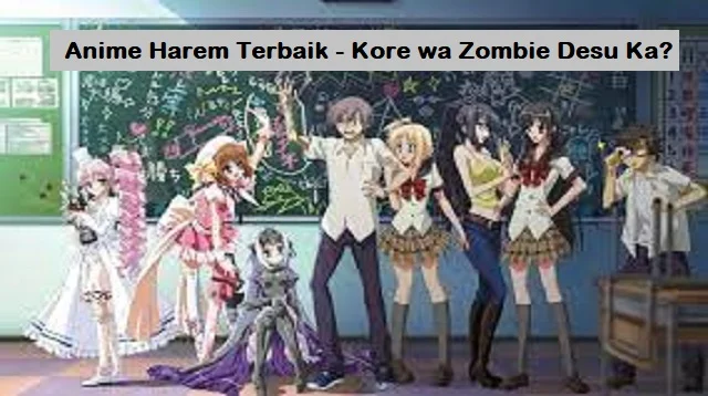 Anime Harem Terbaik