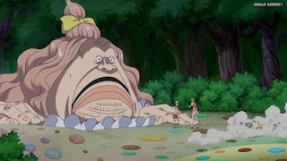 ワンピースアニメ WCI編 796話 ビッグマムの夫 パウンド Pound | ONE PIECE Episode 796